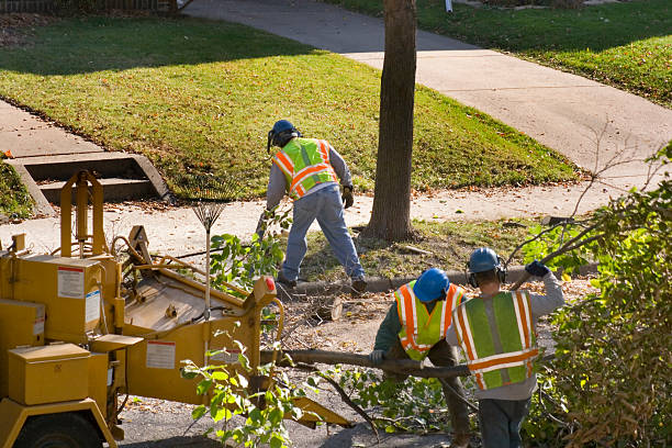 Cleveland, OK Tree Service Company